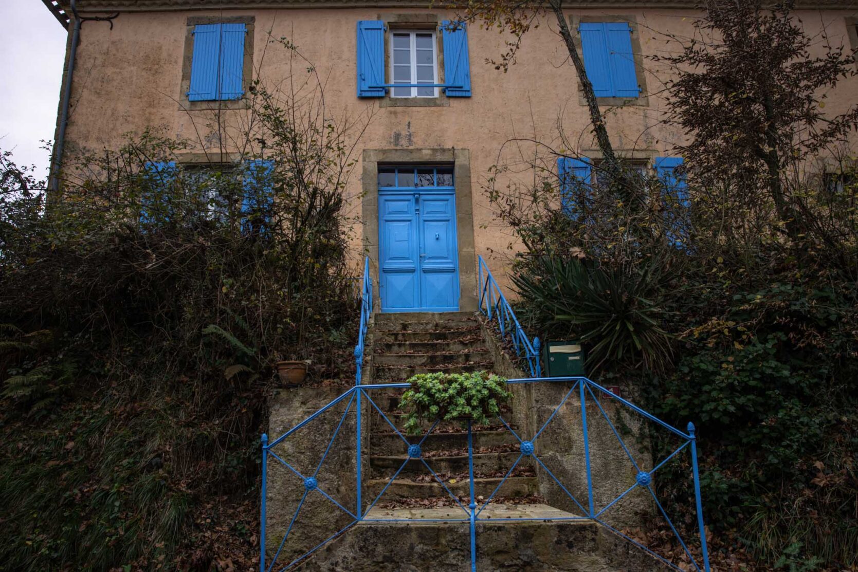 VOLETS DU PRESBYTÈRE